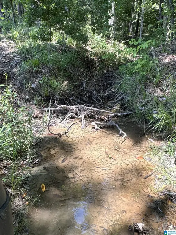 Picture 42