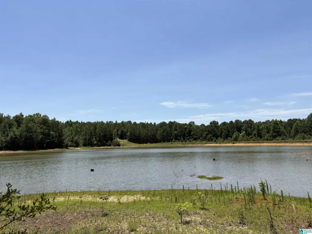 Picture 41