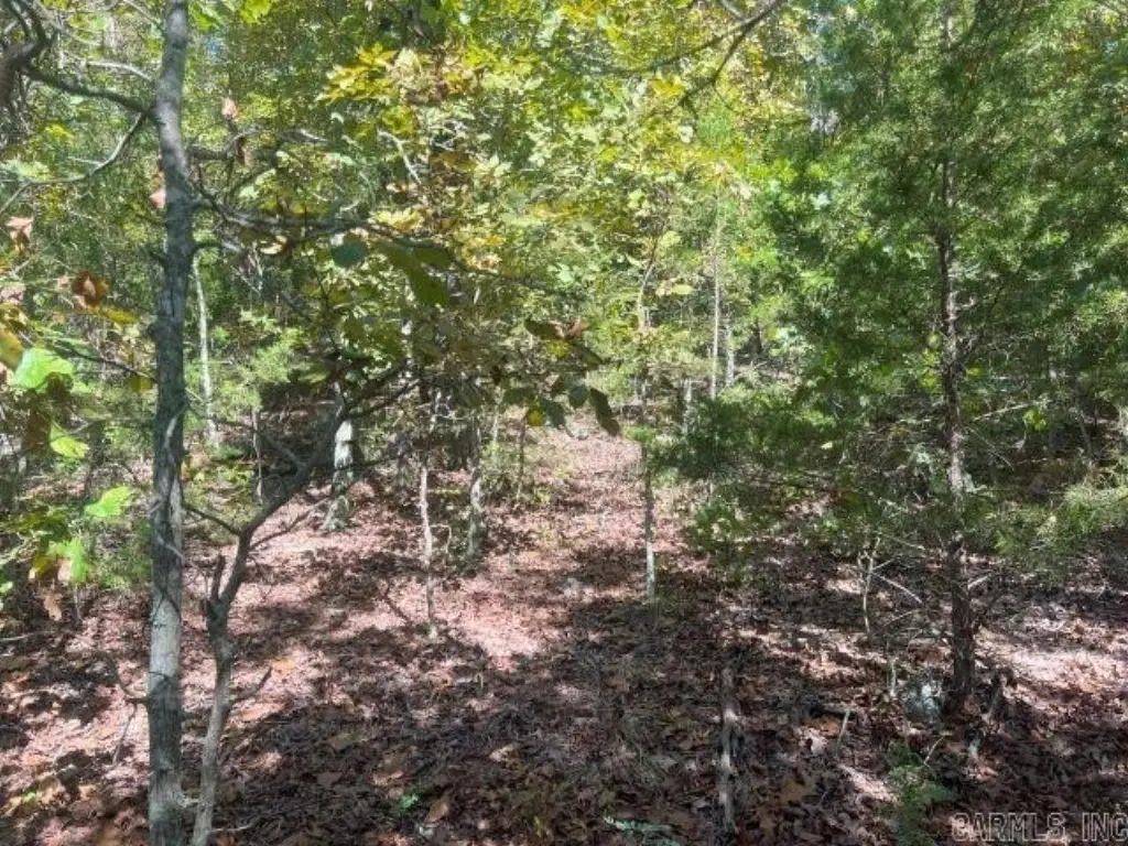 Picture 11