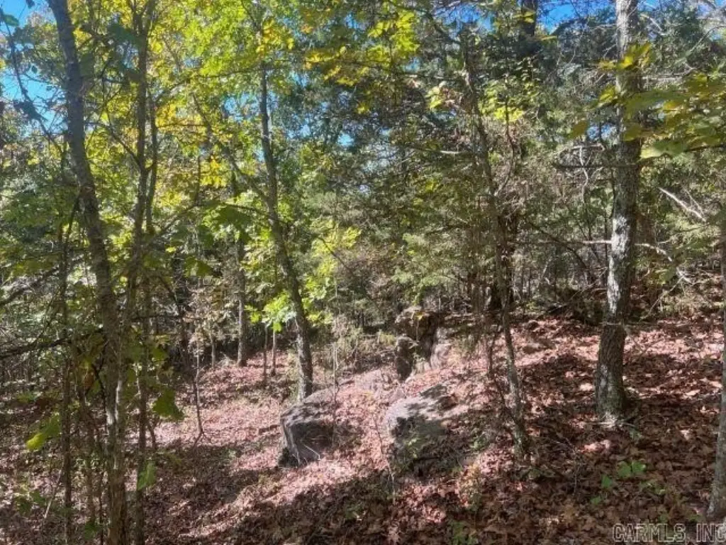 Picture 9