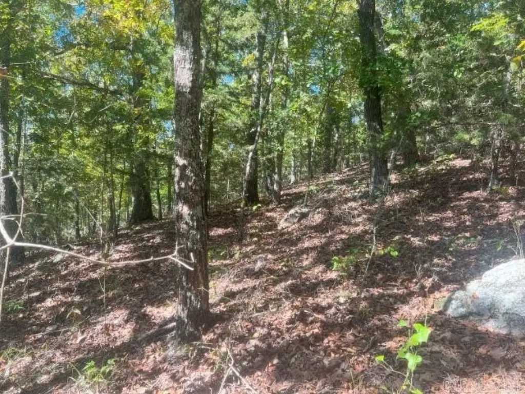 Picture 15