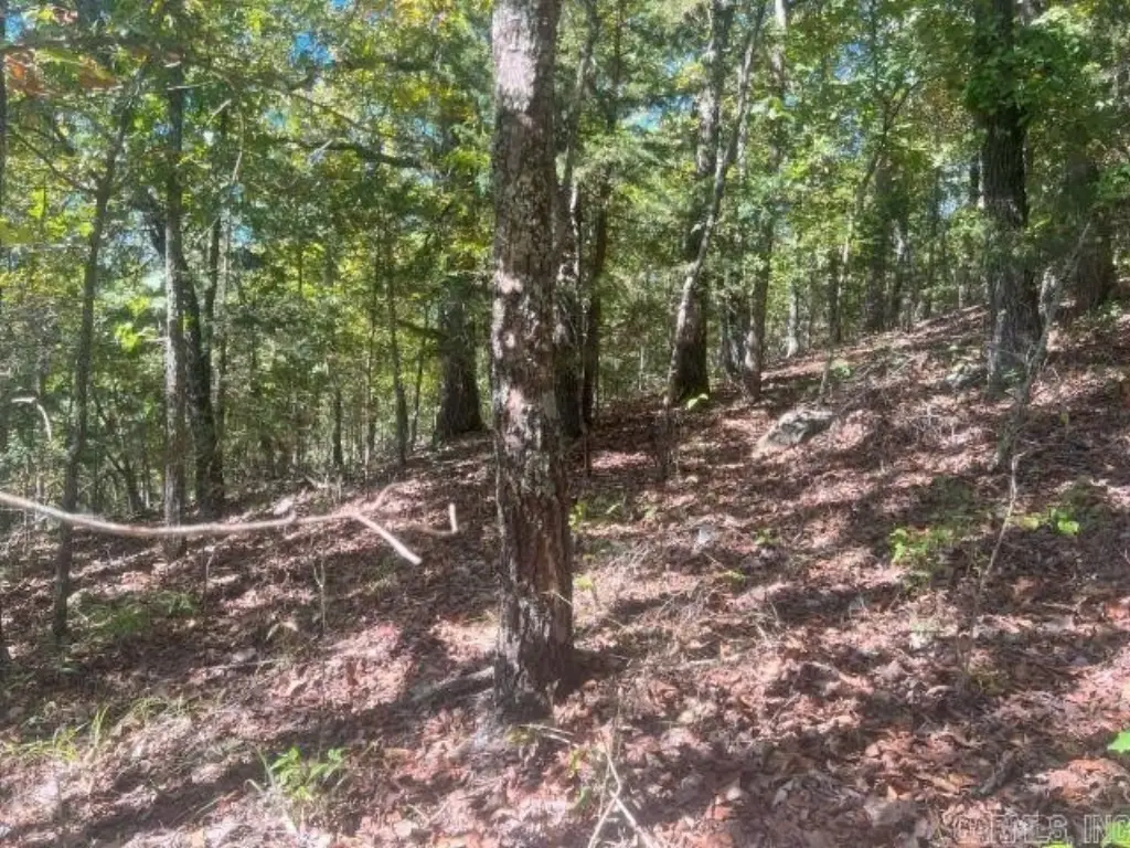 Picture 16