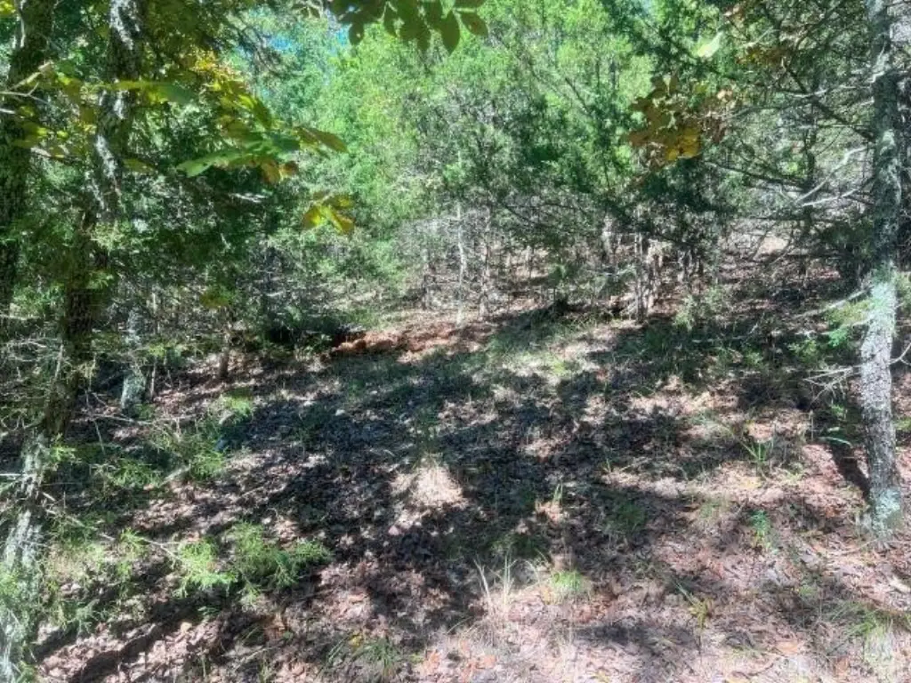 Picture 21