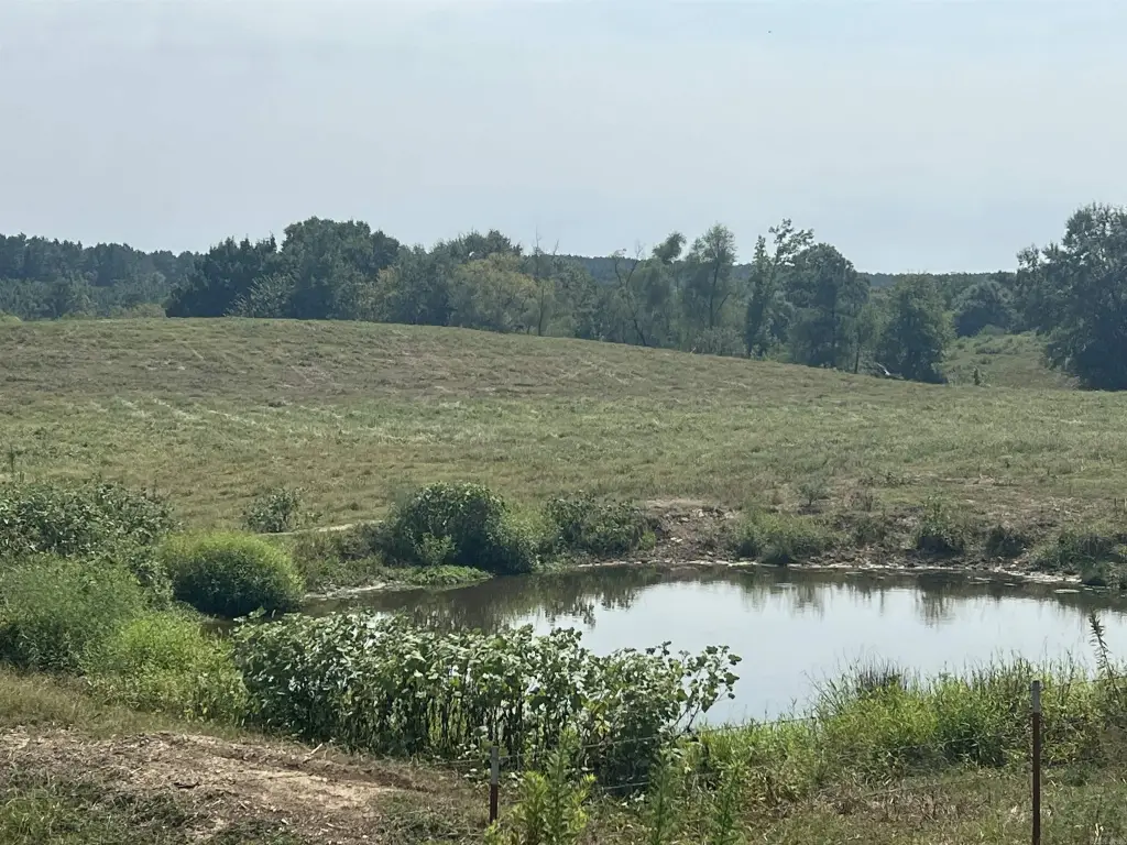 Picture 23
