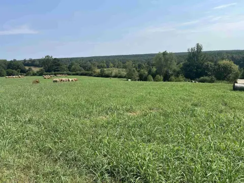 Highway-Frontage Agricultural Land