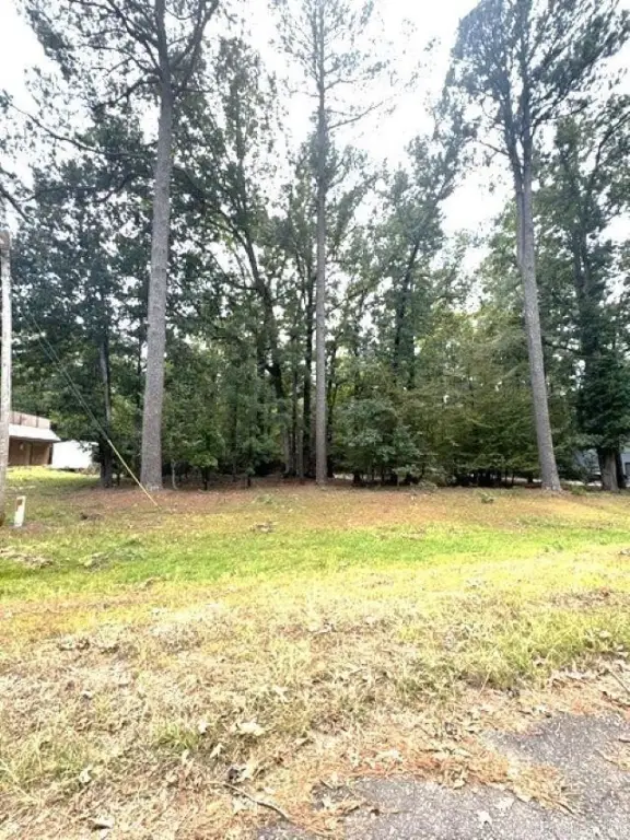 Picture 3