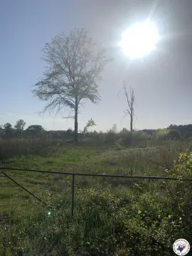 Texarkana Land with Road Frontage