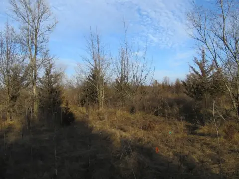 Commercial Land in Water Tower Park