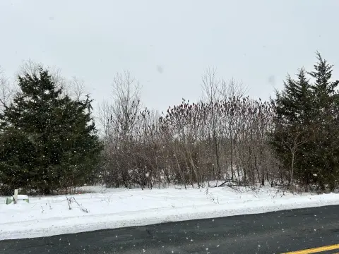 Wooded Land Between Resort Towns