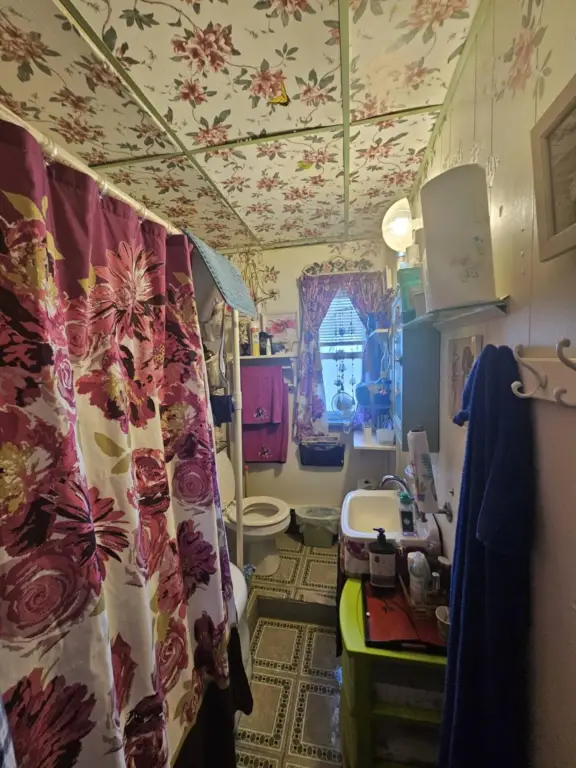 Picture 17