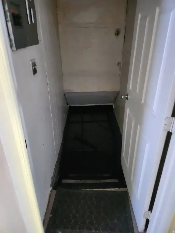 Picture 5
