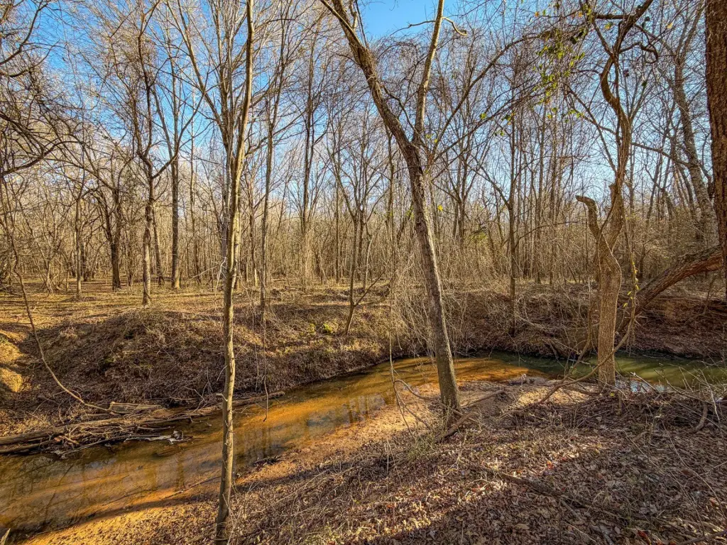 Picture 33