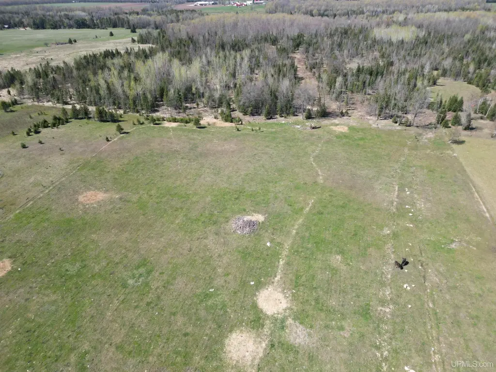 Picture 3