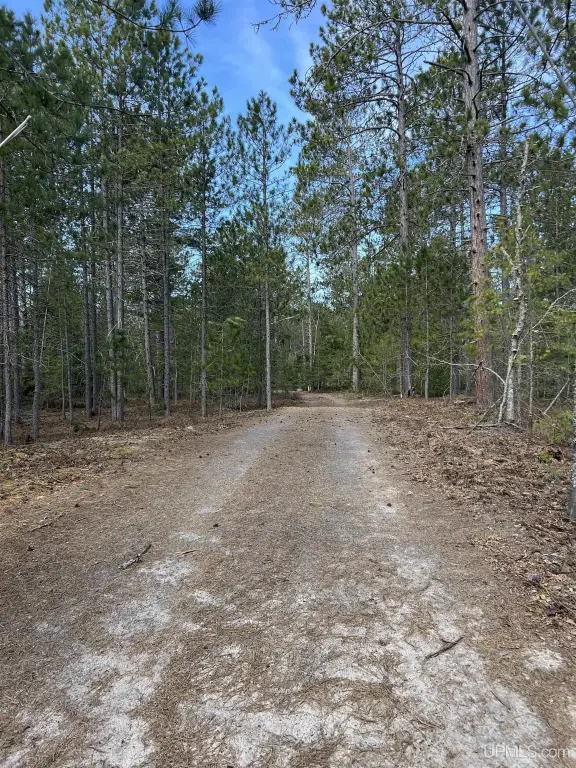 Picture 28