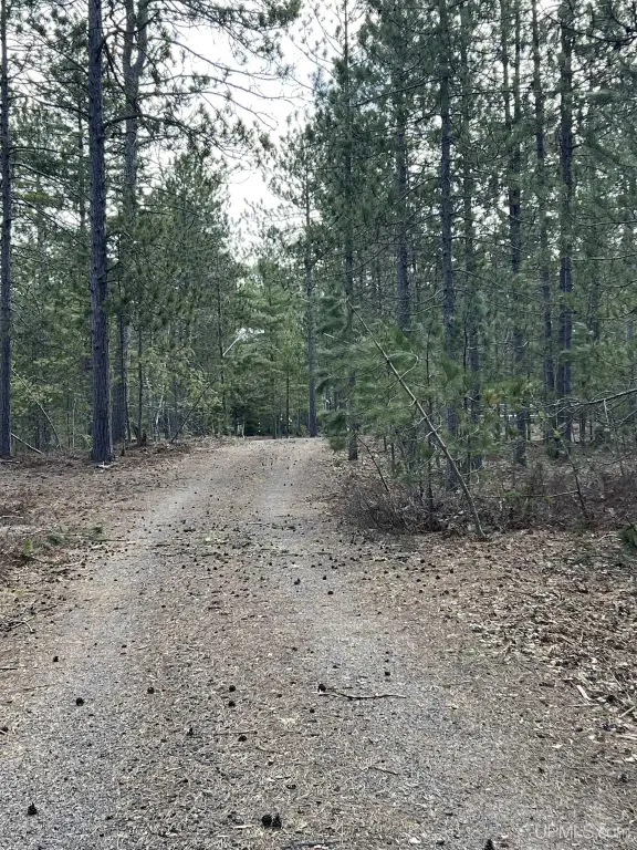 Picture 26