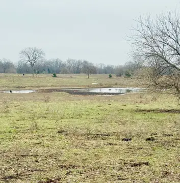 160 Acre Farm/Estate Opportunity