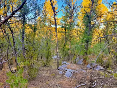 Expansive Land in Tijeras, NM