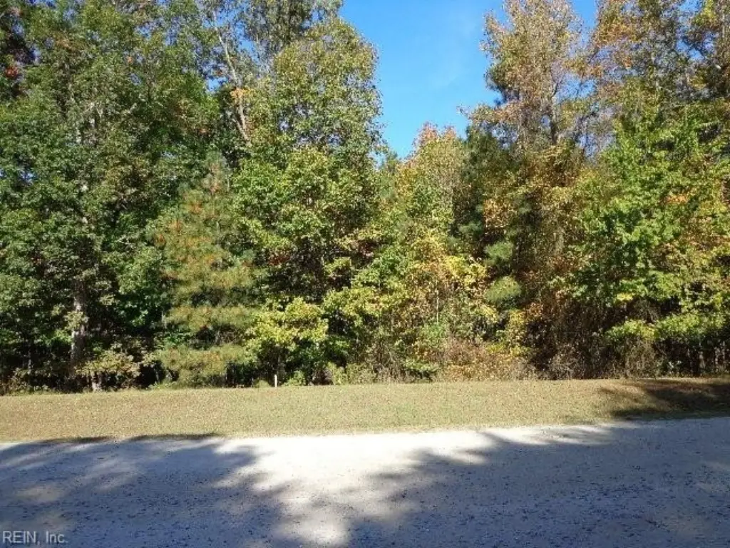 Picture 12