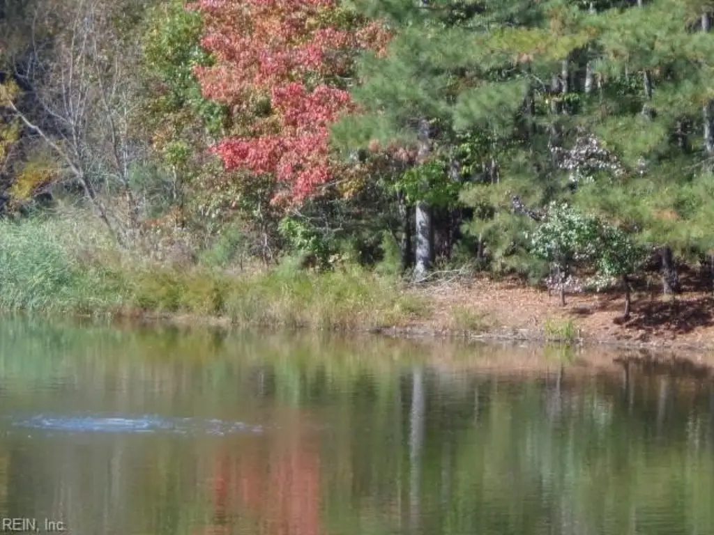 Picture 8