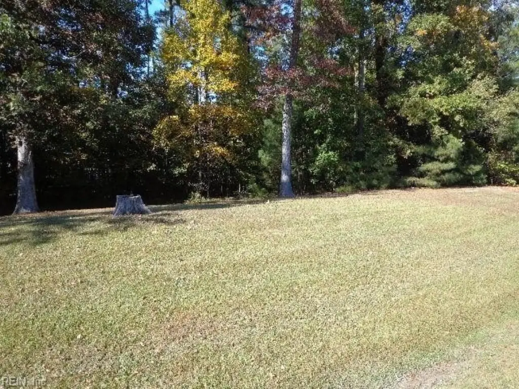 Picture 11