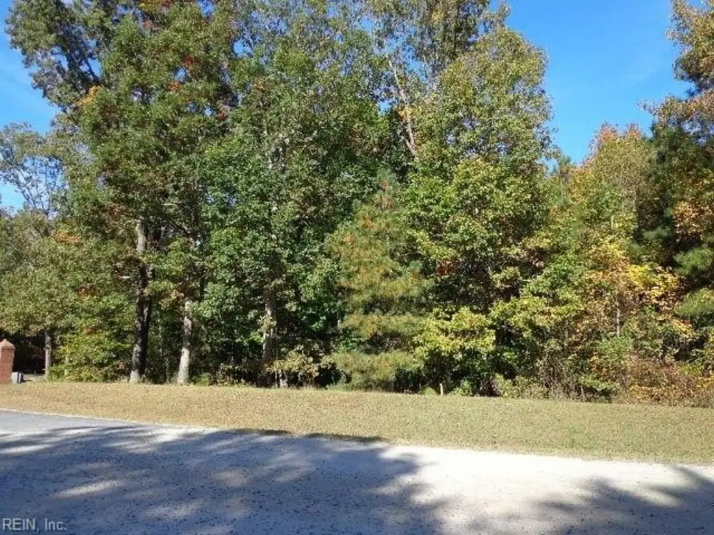 Picture 14