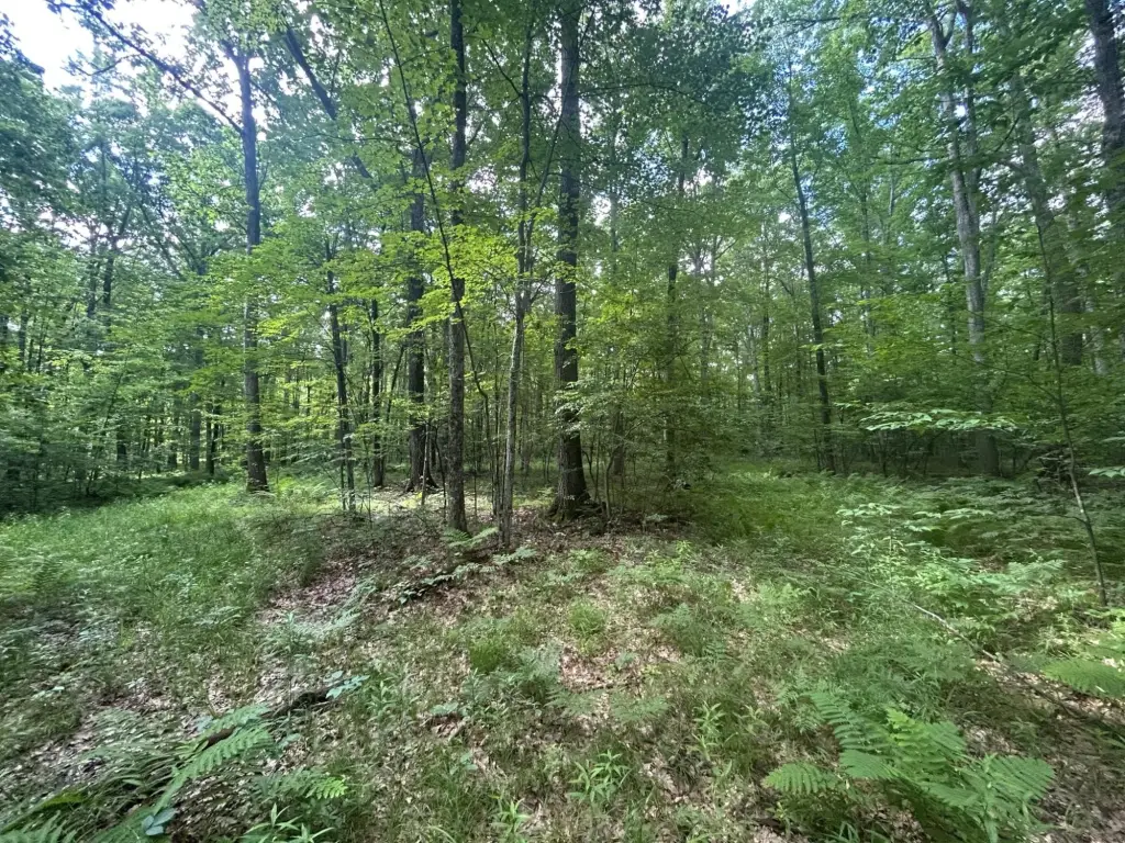 Picture 22