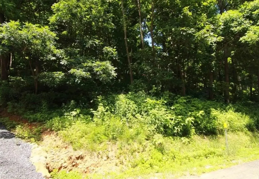 Picture 2