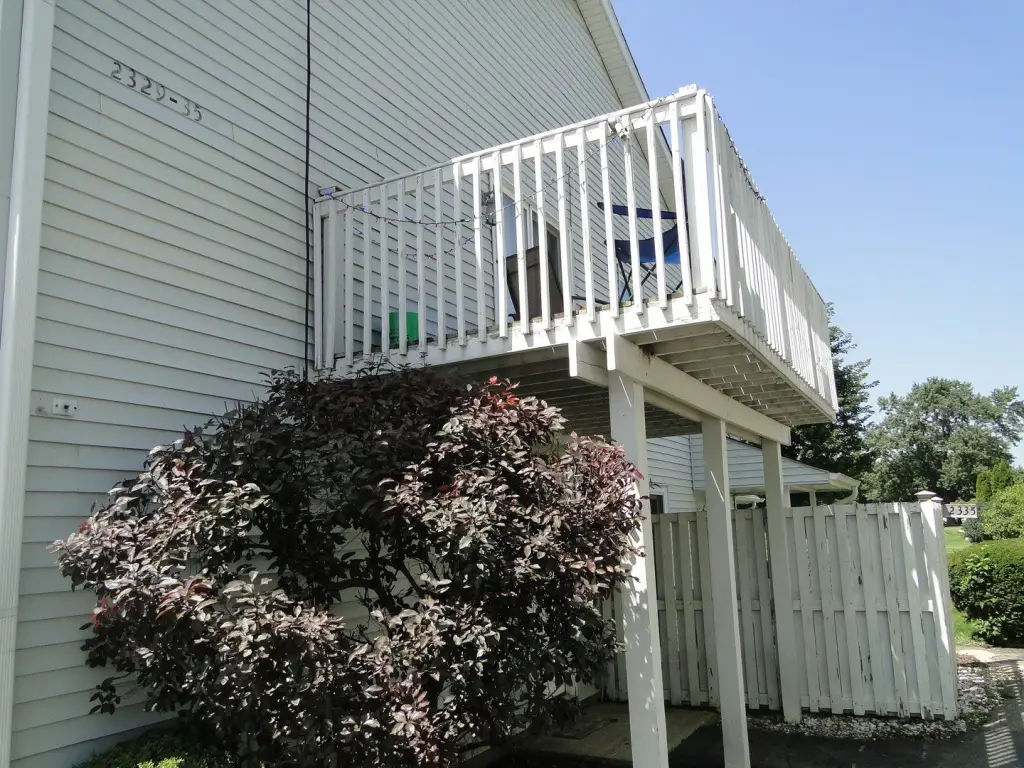 Picture 5