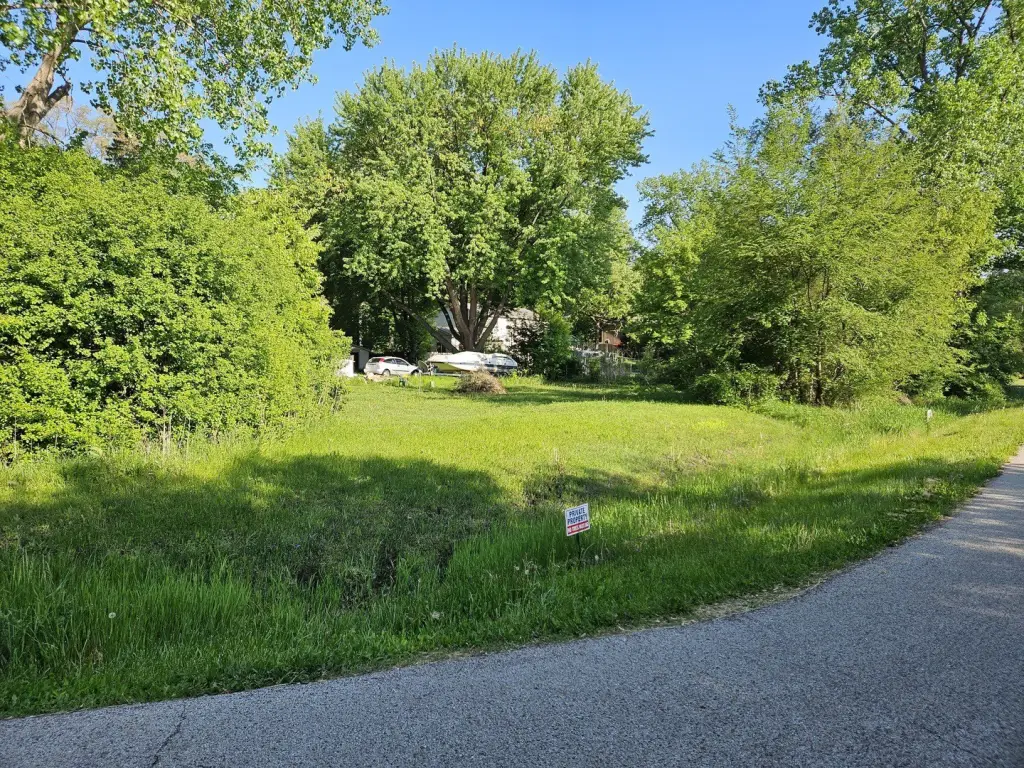 Picture 5