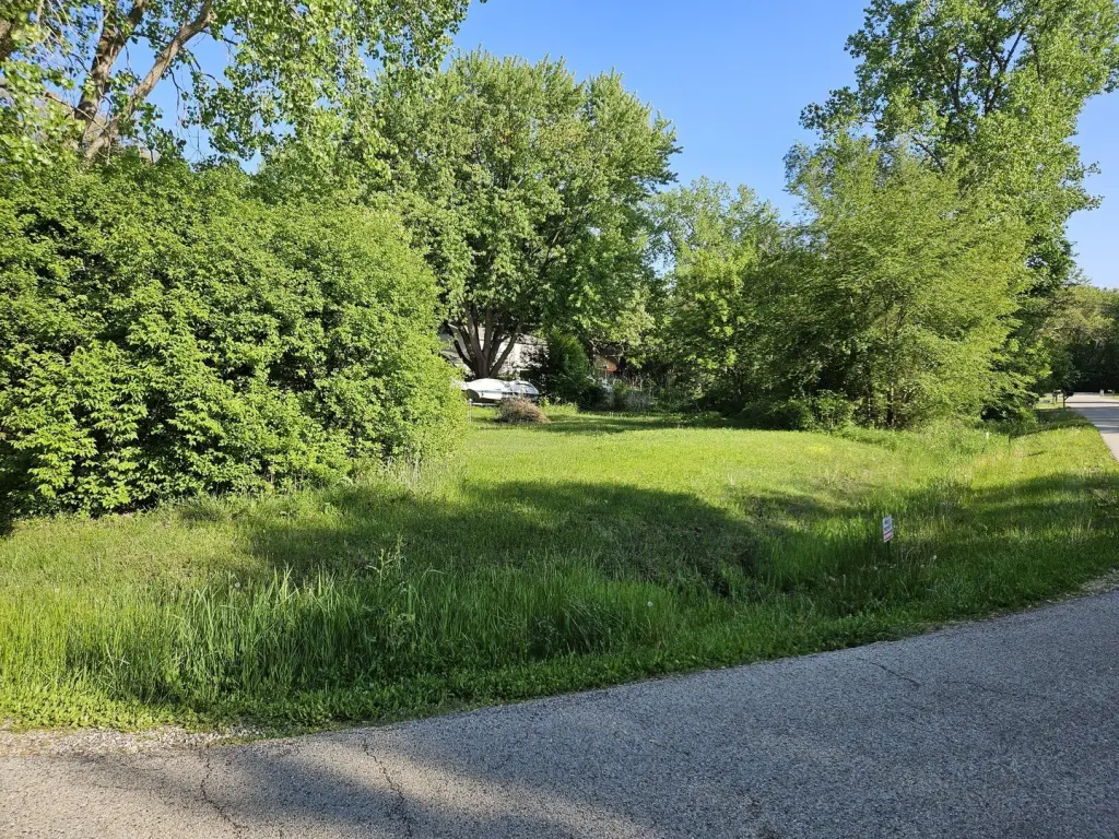 Picture 6
