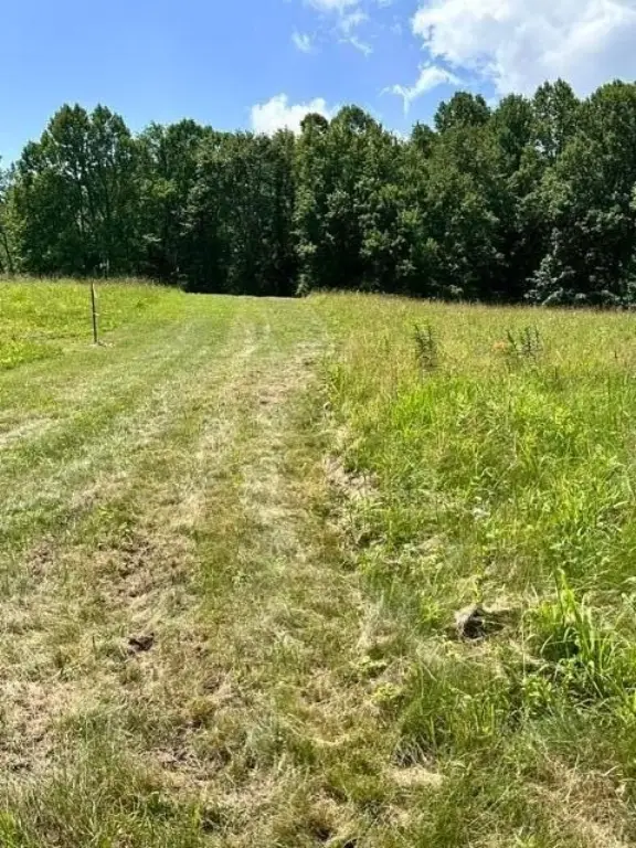 Picture 23