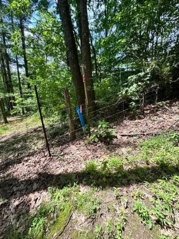 Picture 46
