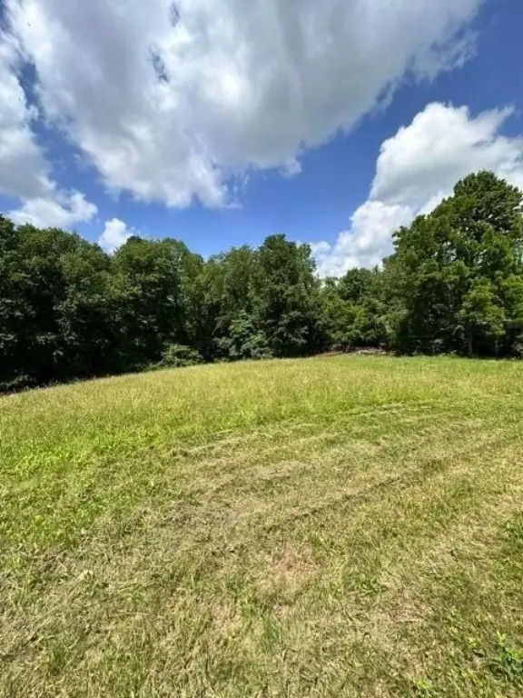 Picture 17