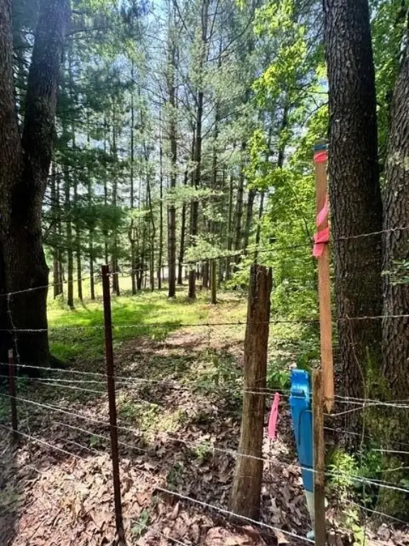Picture 45