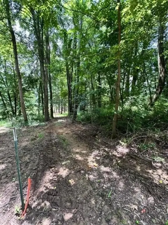 Picture 8