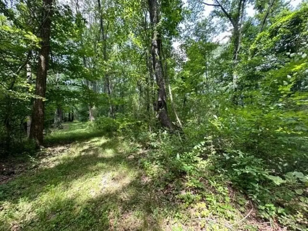 Picture 43