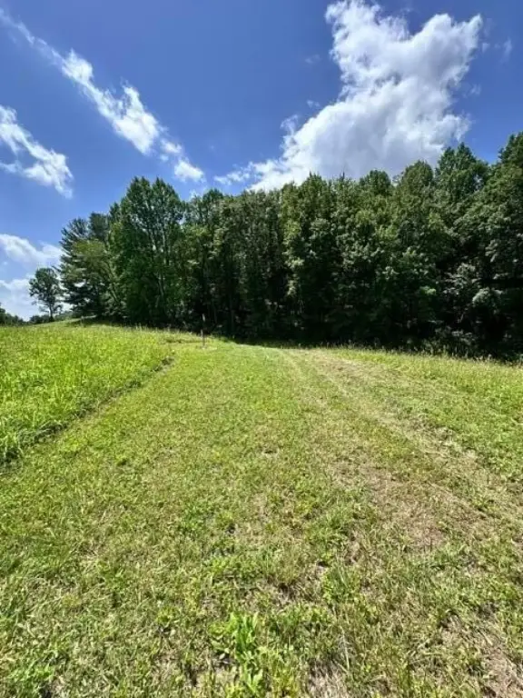 Picture 19