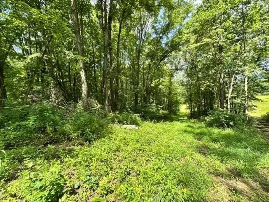 Picture 12