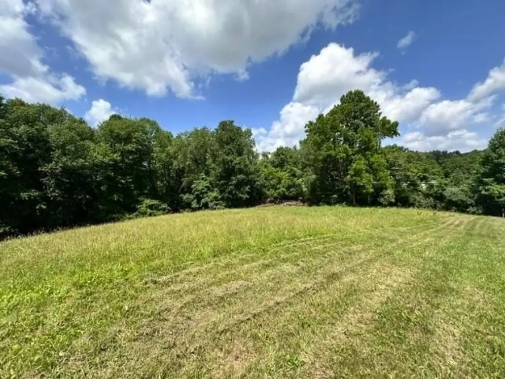 Picture 16