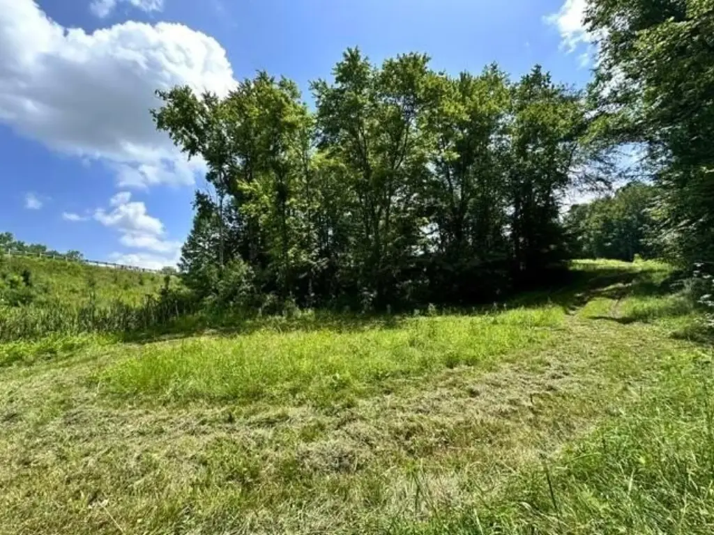 Picture 29