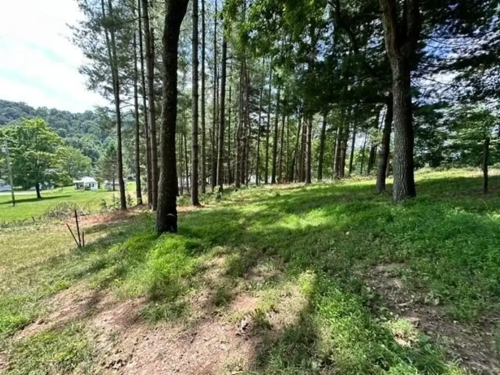 Picture 7