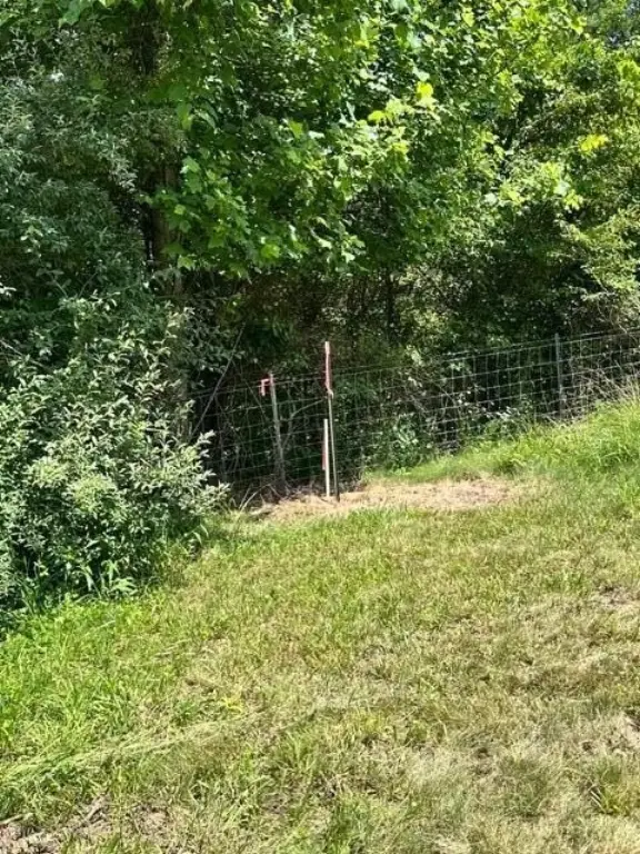 Picture 24