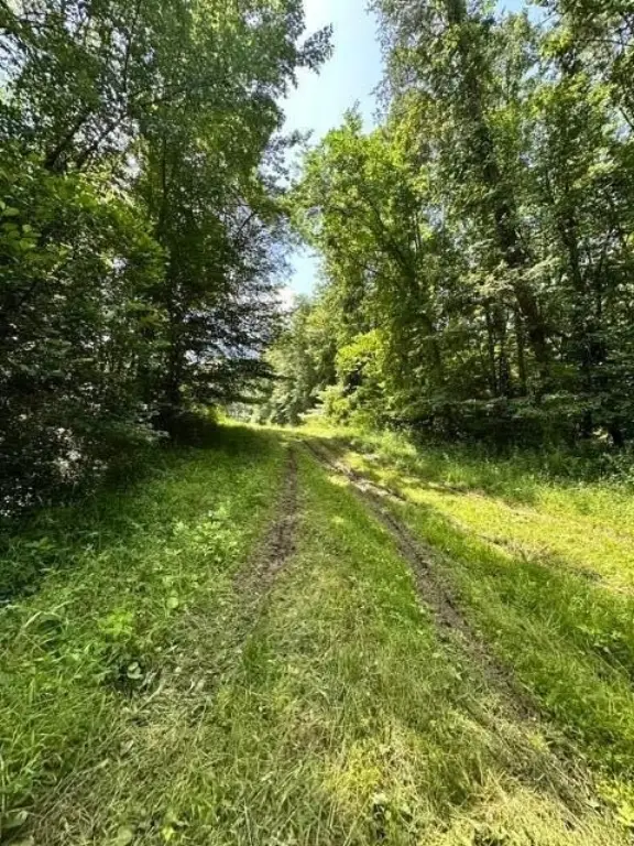 Picture 26