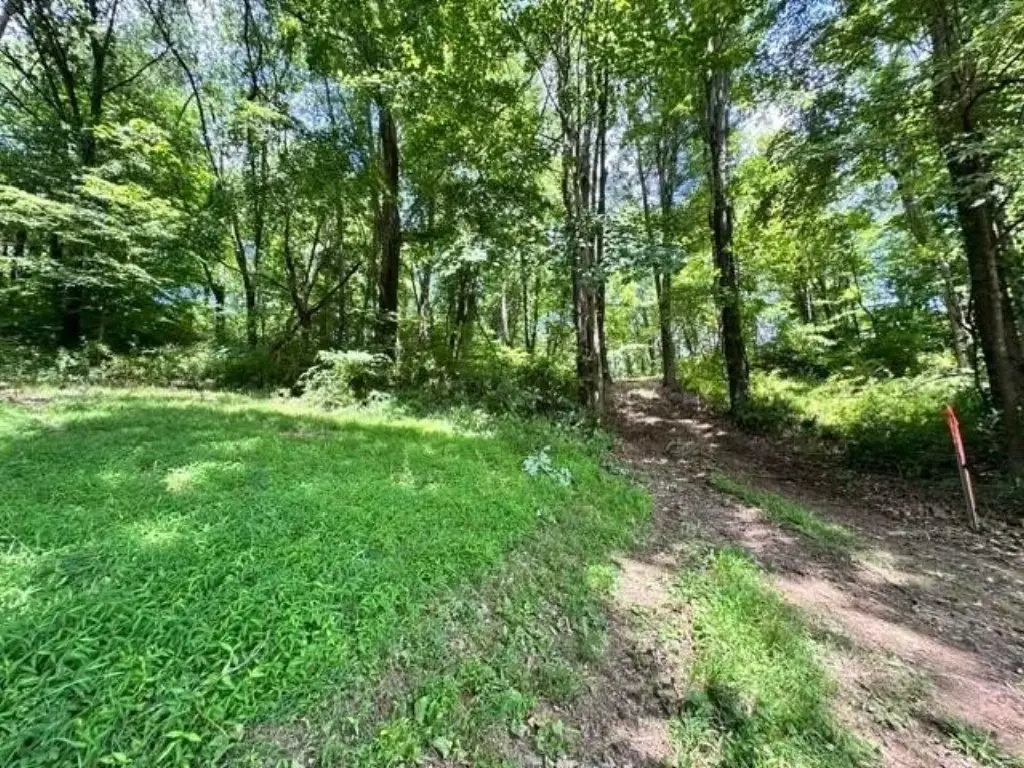 Picture 6