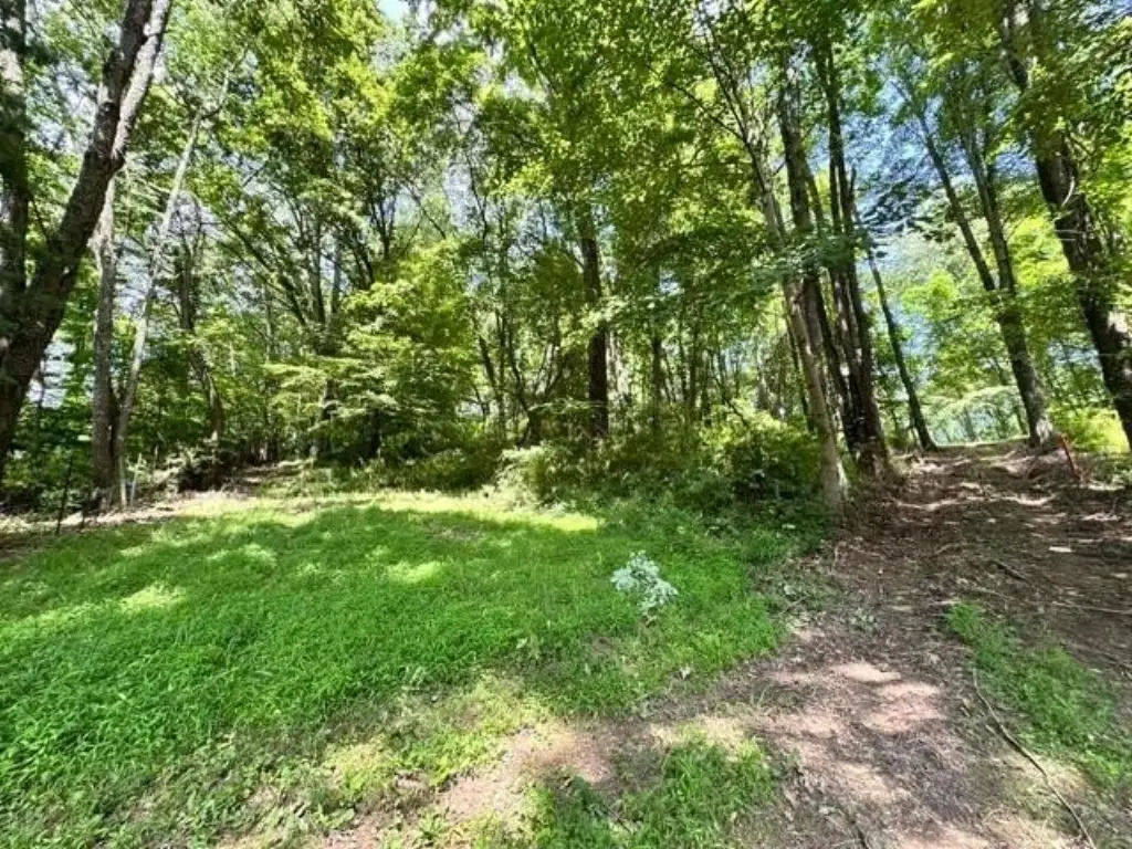 Picture 47