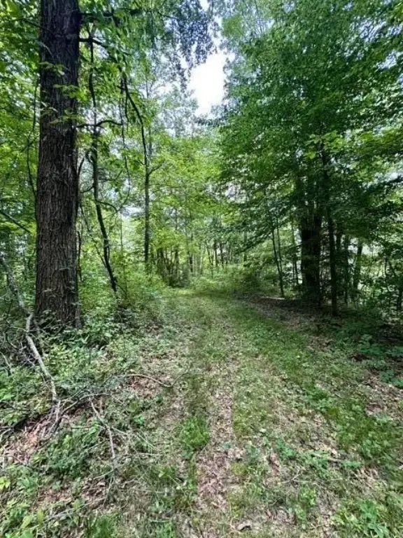 Picture 41