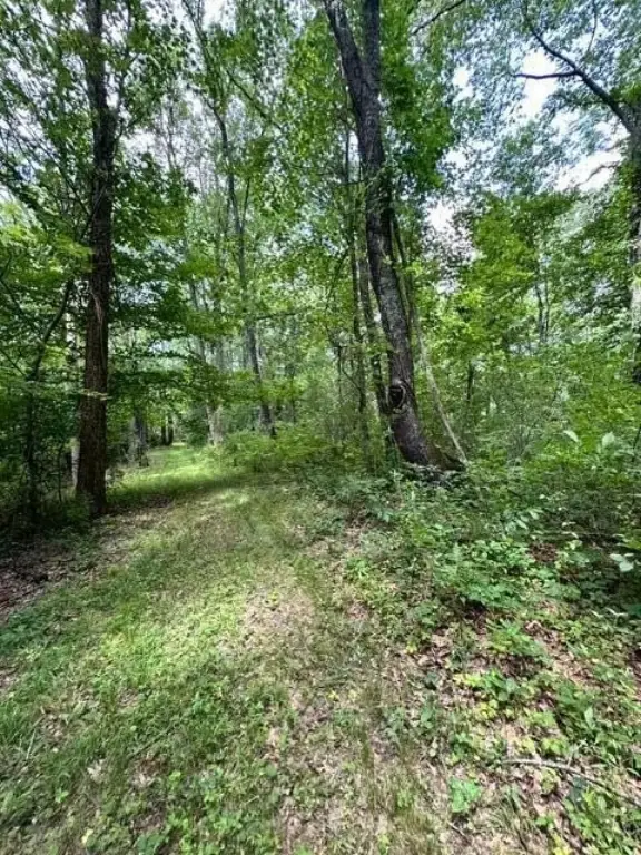 Picture 42