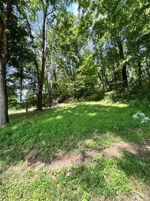 Picture 48