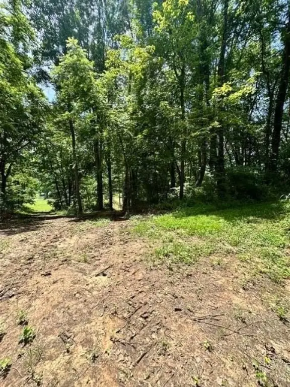 Picture 11