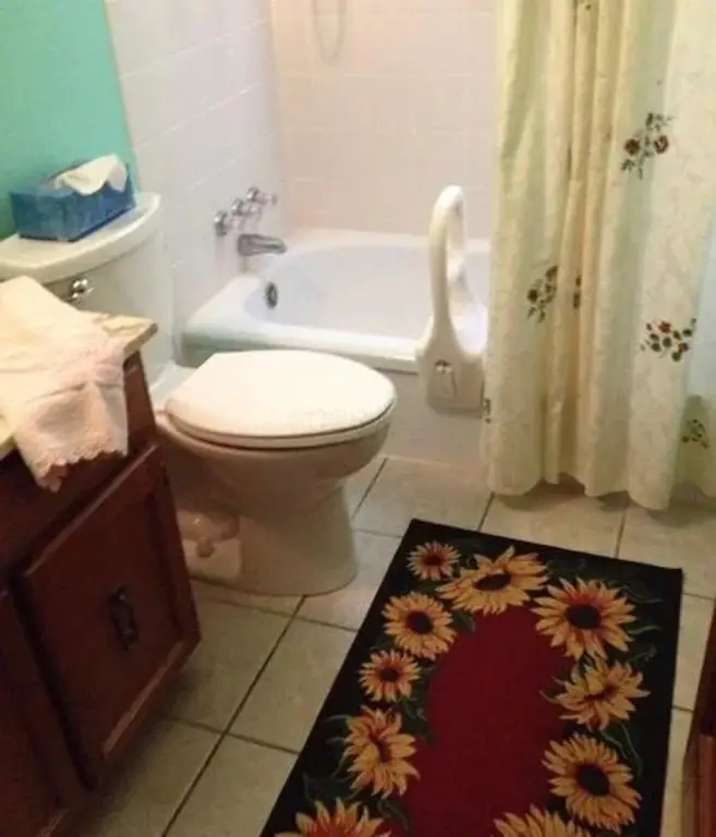 Picture 7